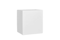 EPS doos 173 L, 800x600x650 mm (6x op Pallet)